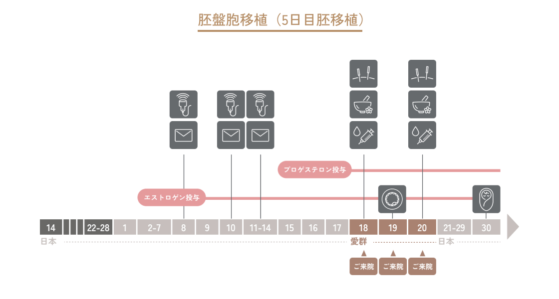 ホルモン補充周期 Ⅱ